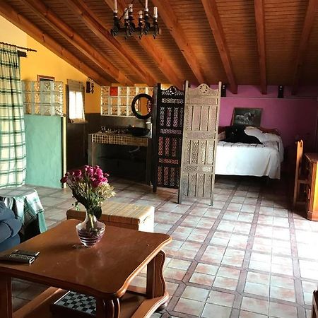 Apartmán Terraza De Patria Vejer de la Frontera Exteriér fotografie