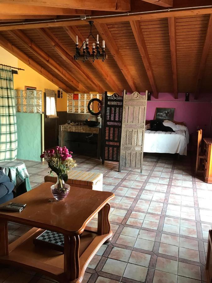 Apartmán Terraza De Patria Vejer de la Frontera Exteriér fotografie