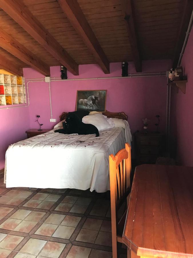 Apartmán Terraza De Patria Vejer de la Frontera Exteriér fotografie
